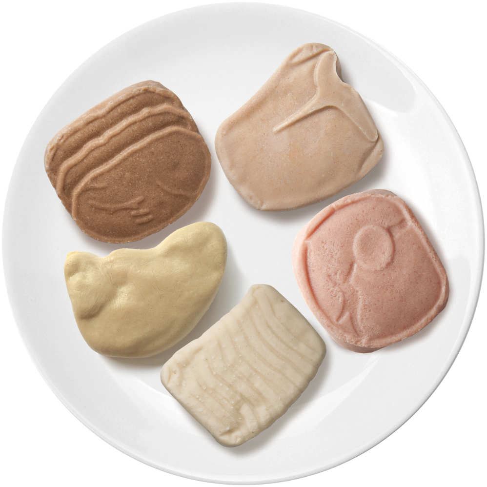 Cafe Puree Medtrition — Home Health Nutrition