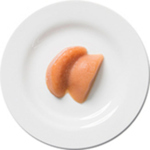 Café Puree — Home Health Nutrition